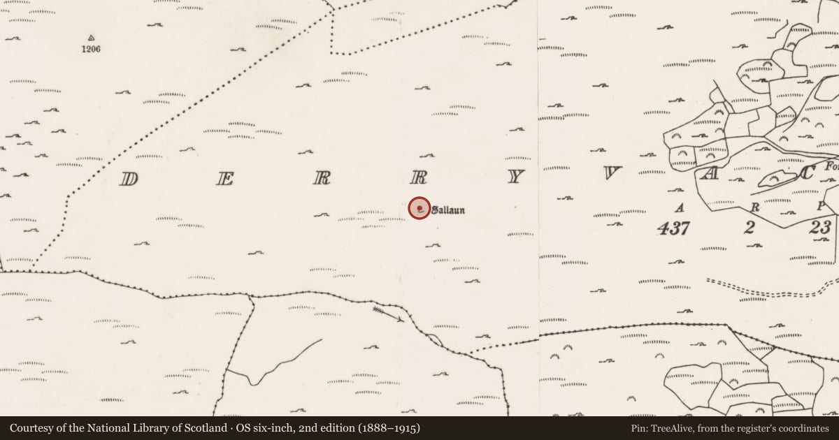Ordnance Survey six-inch map, 2nd edition (1888–1915) covering the location of Megalithic tomb - wedge tomb, Doire Mhic Coirnín, County Cork, with a pin at the register's coordinates