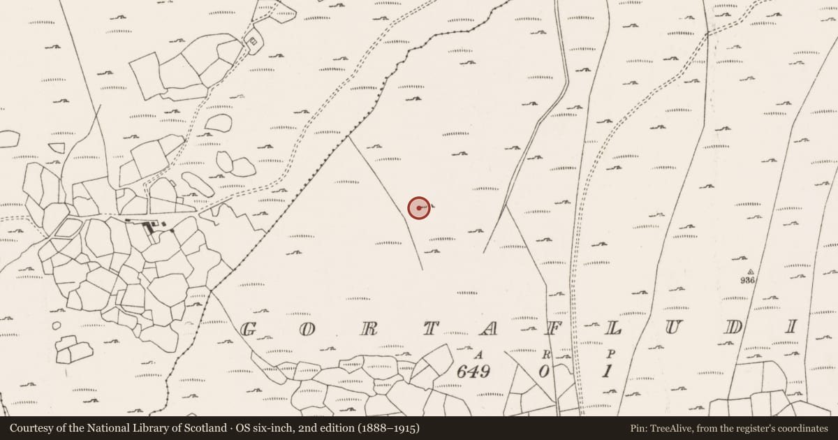 Ordnance Survey six-inch map, 2nd edition (1888–1915) covering the location of Standing stone, Gort An Phludaigh, County Cork, with a pin at the register's coordinates