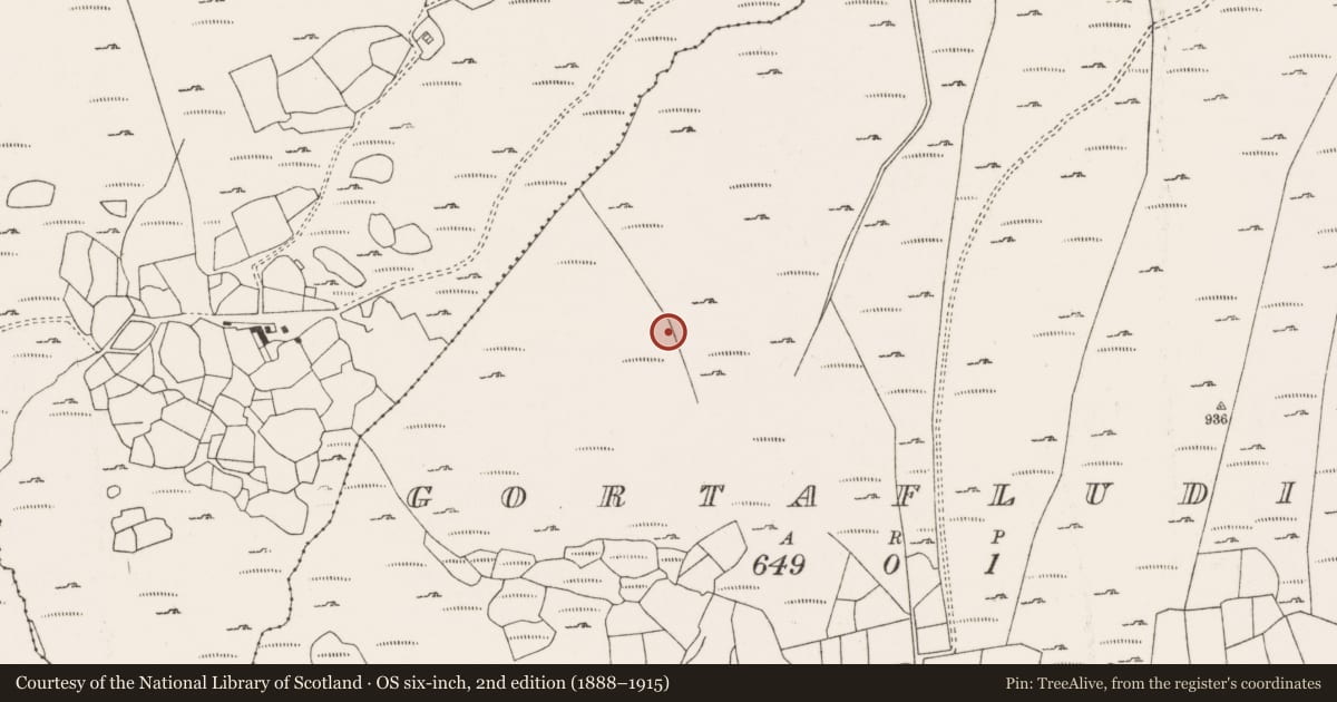 Ordnance Survey six-inch map, 2nd edition (1888–1915) covering the location of Enclosure, Gort An Phludaigh, County Cork, with a pin at the register's coordinates