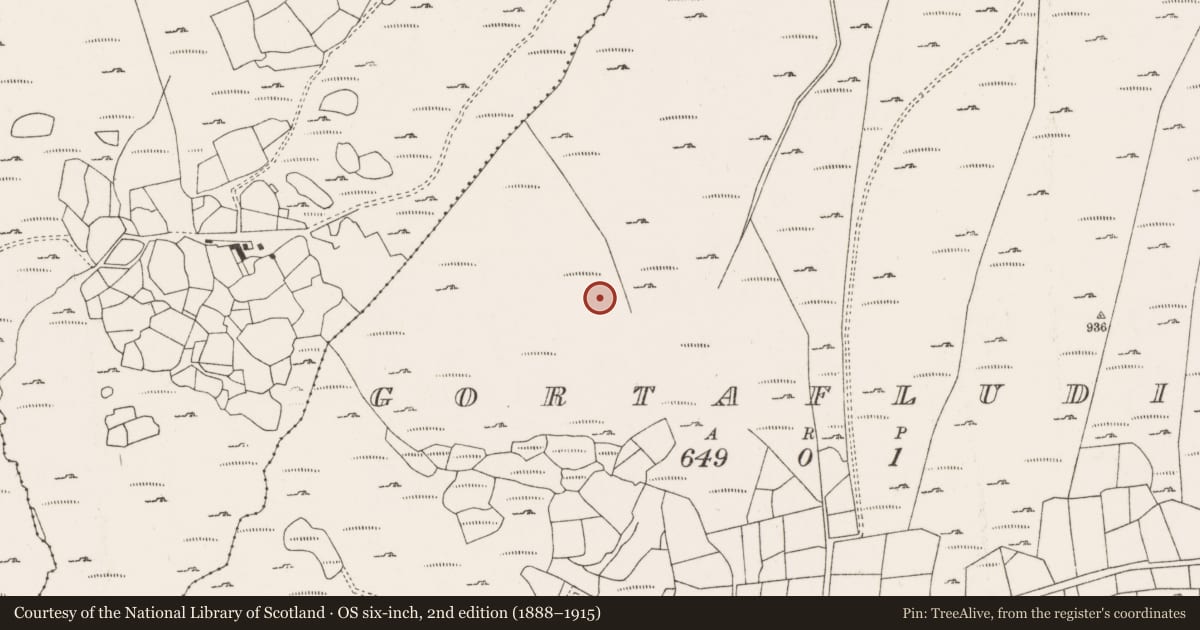 Ordnance Survey six-inch map, 2nd edition (1888–1915) covering the location of Field boundary, Gort An Phludaigh, County Cork, with a pin at the register's coordinates