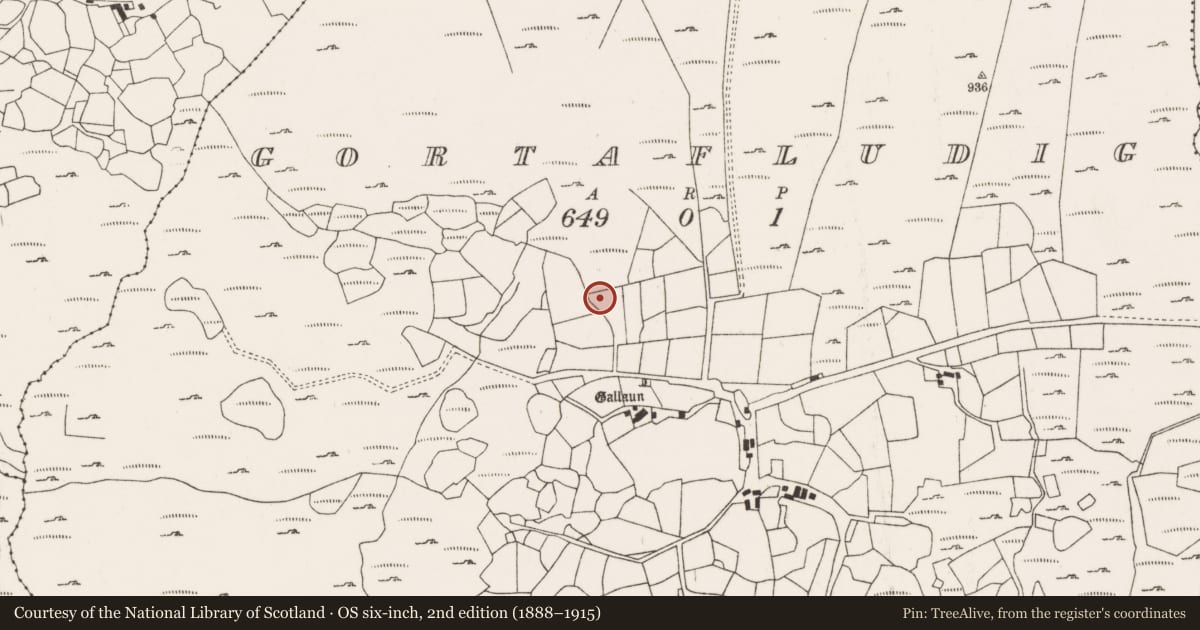 Ordnance Survey six-inch map, 2nd edition (1888–1915) covering the location of Standing stone - pair, Gort An Phludaigh, County Cork, with a pin at the register's coordinates