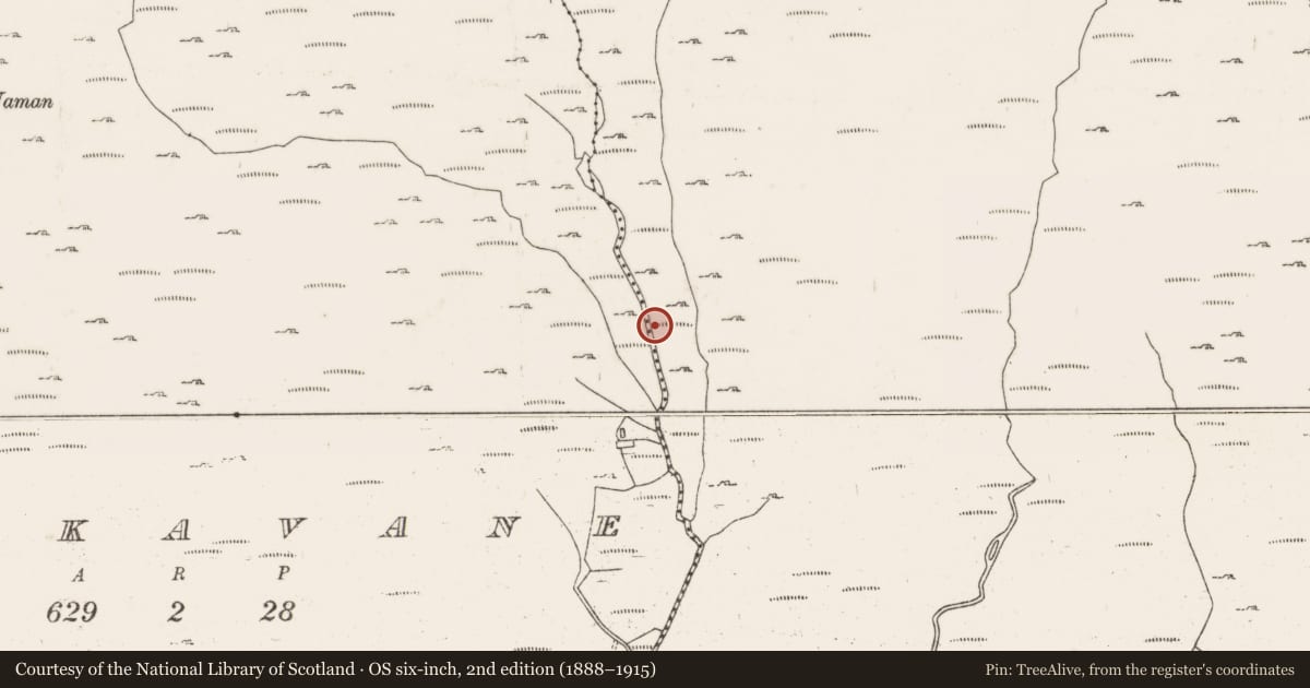 Ordnance Survey six-inch map, 2nd edition (1888–1915) covering the location of Hut site, Curraglass, County Cork, with a pin at the register's coordinates