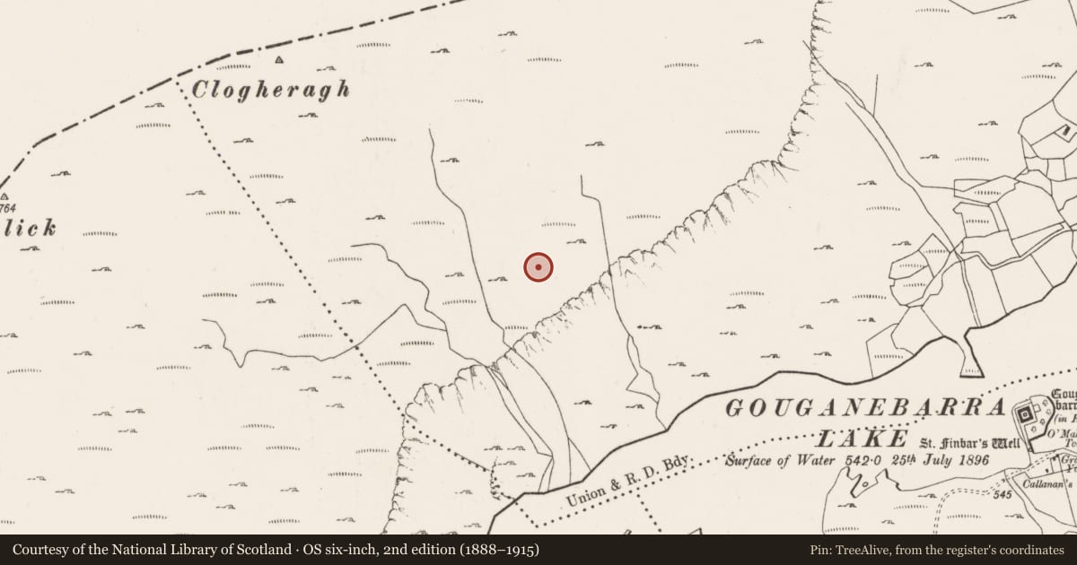 Ordnance Survey six-inch map, 2nd edition (1888–1915) covering the location of Hut site, Ros An Locha, County Cork, with a pin at the register's coordinates