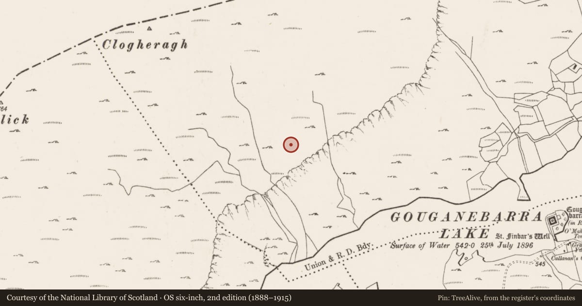 Ordnance Survey six-inch map, 2nd edition (1888–1915) covering the location of Hut site, Ros An Locha, County Cork, with a pin at the register's coordinates