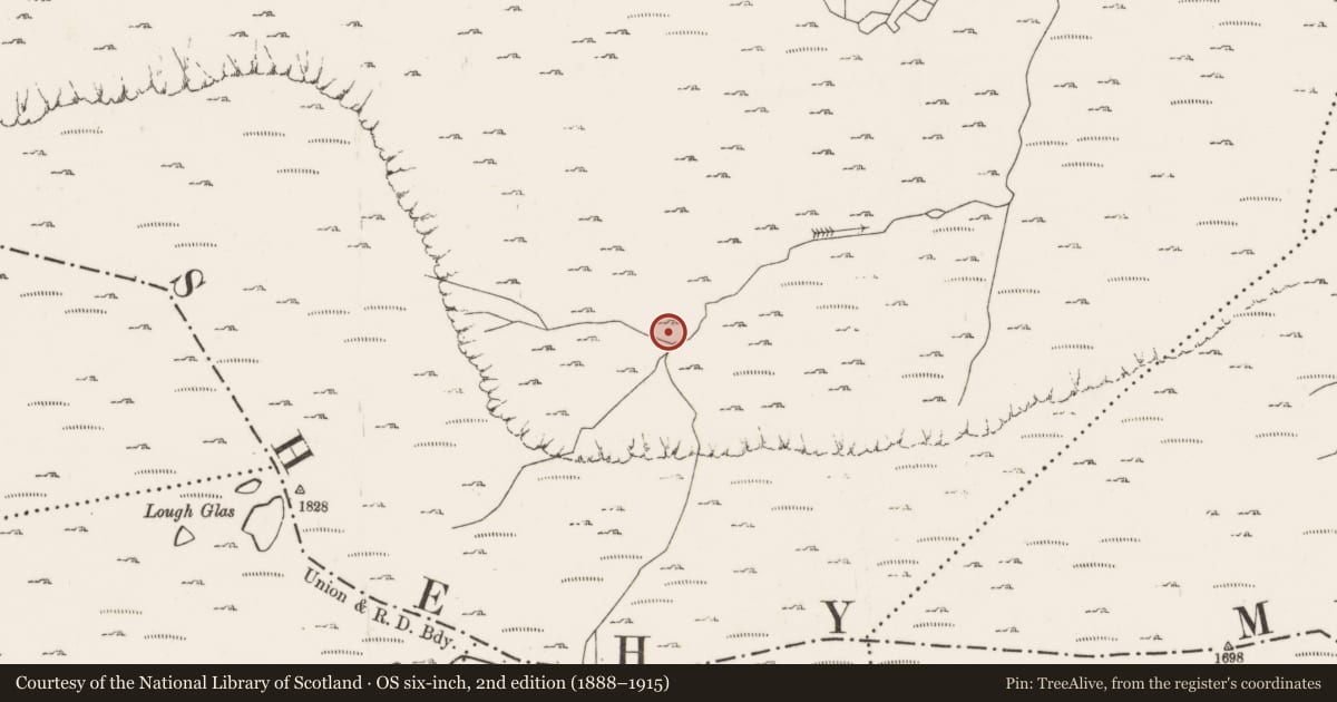 Ordnance Survey six-inch map, 2nd edition (1888–1915) covering the location of Enclosure, Coomroe, County Cork, with a pin at the register's coordinates