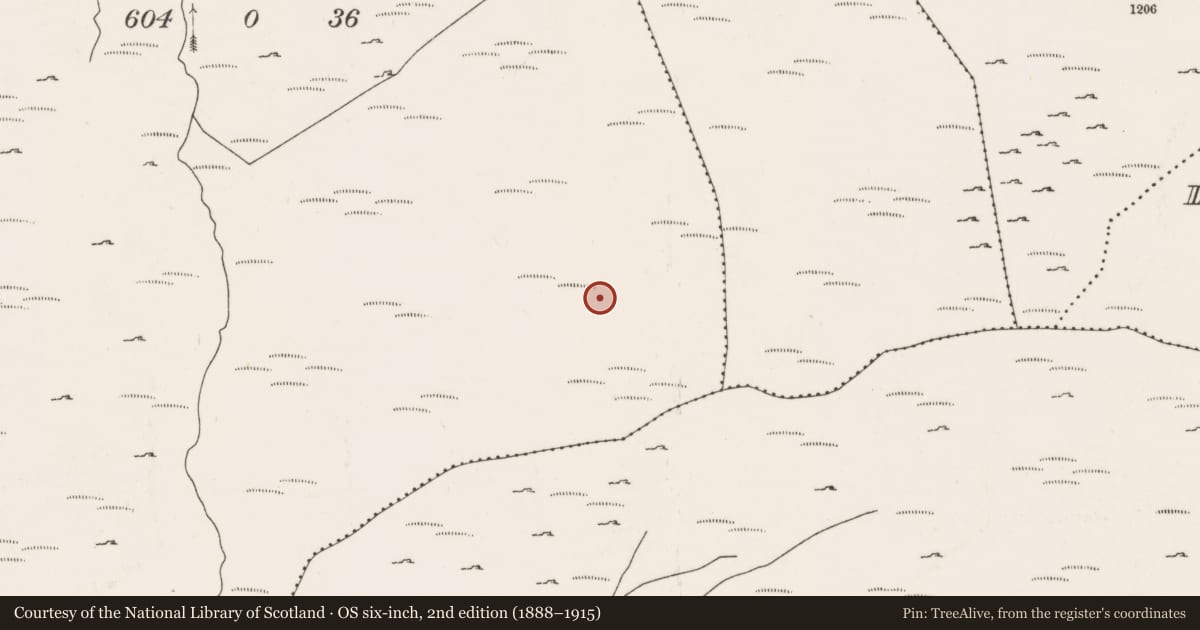 Ordnance Survey six-inch map, 2nd edition (1888–1915) covering the location of Cairn - unclassified, An Inse Mhór (TC Béal Átha an Ghaorthaidh), County Cork, with a pin at the register's coordinates