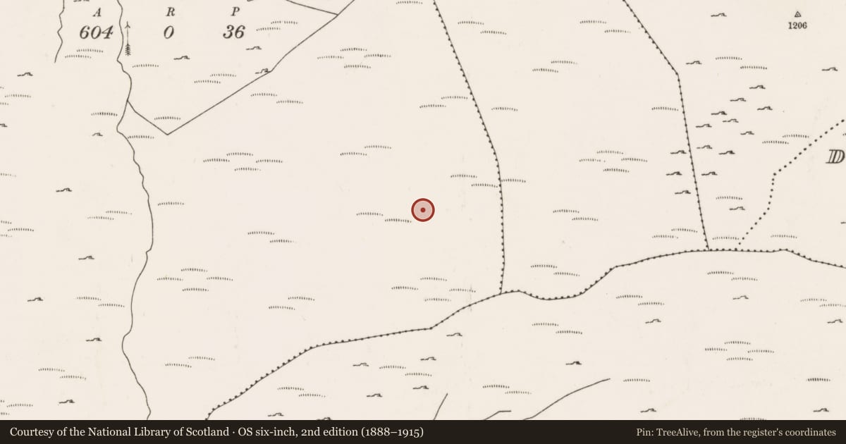 Ordnance Survey six-inch map, 2nd edition (1888–1915) covering the location of Cairn - unclassified, An Inse Mhór (TC Béal Átha an Ghaorthaidh), County Cork, with a pin at the register's coordinates