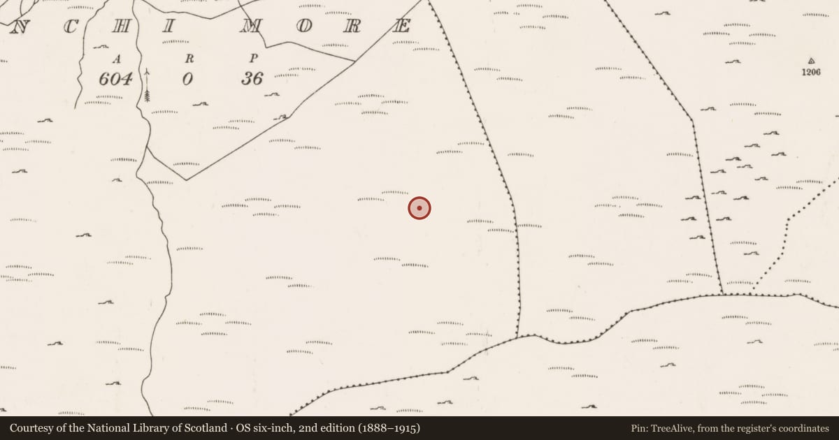Ordnance Survey six-inch map, 2nd edition (1888–1915) covering the location of Field boundary, An Inse Mhór (TC Béal Átha an Ghaorthaidh), County Cork, with a pin at the register's coordinates