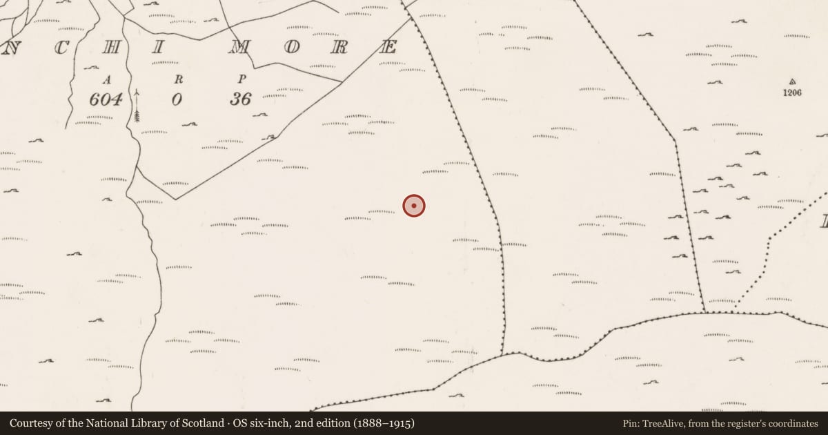 Ordnance Survey six-inch map, 2nd edition (1888–1915) covering the location of Enclosure, An Inse Mhór (TC Béal Átha an Ghaorthaidh), County Cork, with a pin at the register's coordinates