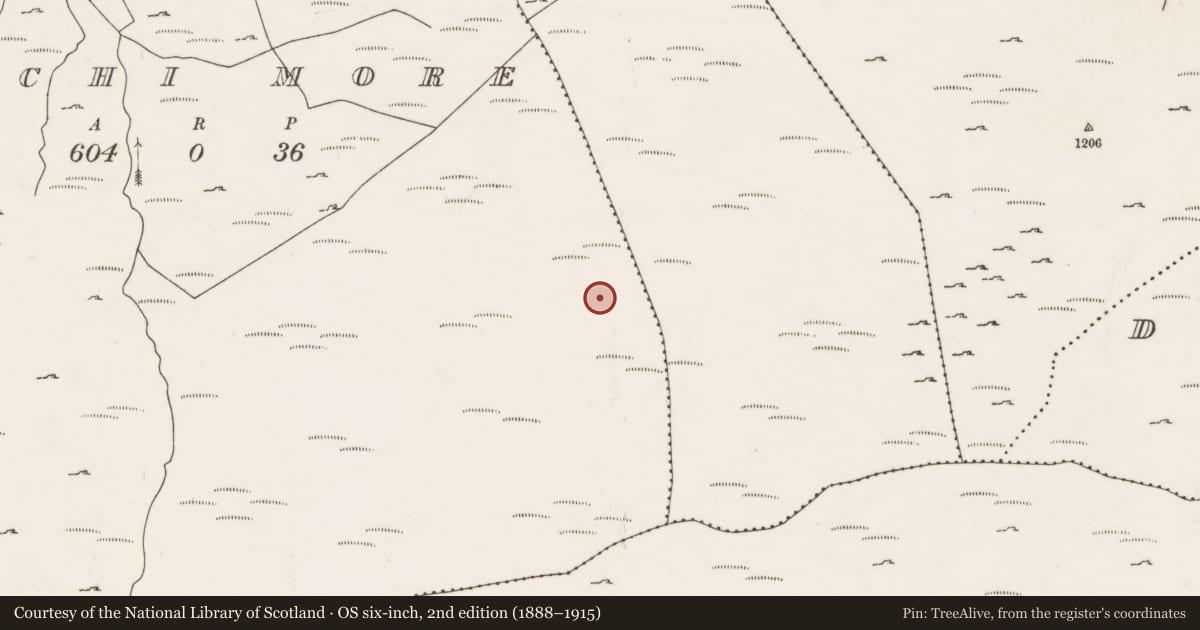 Ordnance Survey six-inch map, 2nd edition (1888–1915) covering the location of Cairn - unclassified, An Inse Mhór (TC Béal Átha an Ghaorthaidh), County Cork, with a pin at the register's coordinates