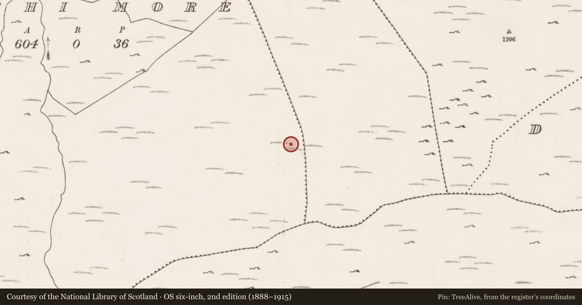 Ordnance Survey six-inch map, 2nd edition (1888–1915) covering the location of Field boundary, An Inse Mhór (TC Béal Átha an Ghaorthaidh), County Cork, with a pin at the register's coordinates