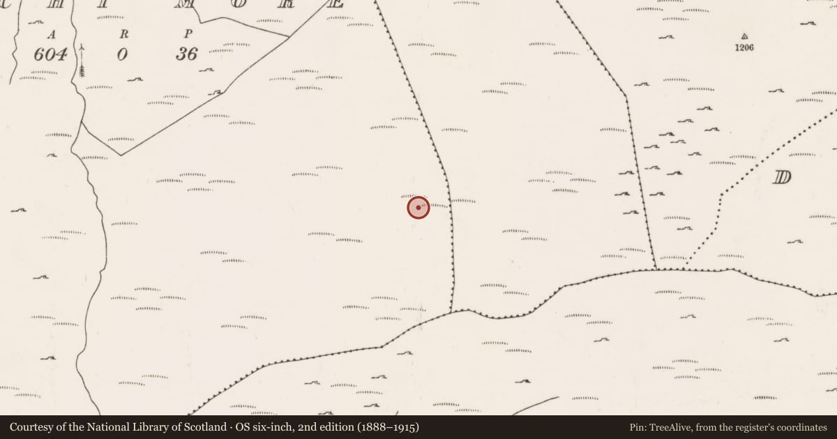 Ordnance Survey six-inch map, 2nd edition (1888–1915) covering the location of Cairn - radial-stone cairn, An Inse Mhór (TC Béal Átha an Ghaorthaidh), County Cork, with a pin at the register's coordinates