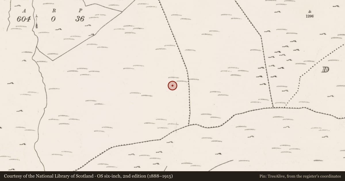 Ordnance Survey six-inch map, 2nd edition (1888–1915) covering the location of Field boundary, An Inse Mhór (TC Béal Átha an Ghaorthaidh), County Cork, with a pin at the register's coordinates