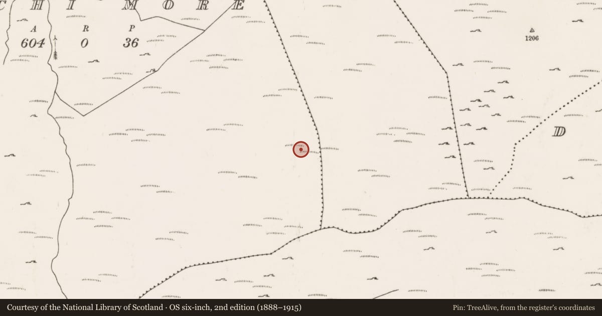 Ordnance Survey six-inch map, 2nd edition (1888–1915) covering the location of Field boundary, An Inse Mhór (TC Béal Átha an Ghaorthaidh), County Cork, with a pin at the register's coordinates