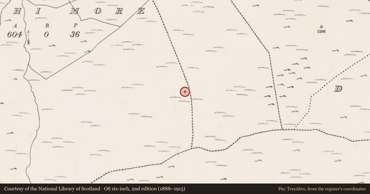 Ordnance Survey six-inch map, 2nd edition (1888–1915) covering the location of Cairn - unclassified, An Inse Mhór (TC Béal Átha an Ghaorthaidh), County Cork, with a pin at the register's coordinates