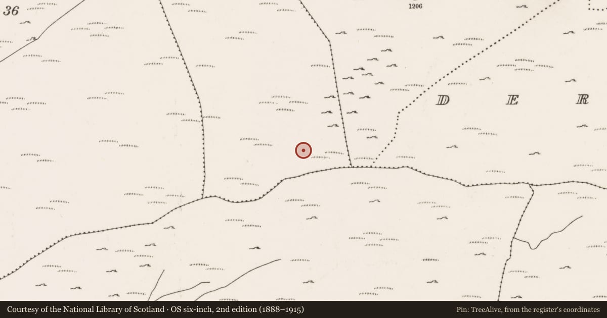 Ordnance Survey six-inch map, 2nd edition (1888–1915) covering the location of Field boundary, Tooreennanean, County Cork, with a pin at the register's coordinates