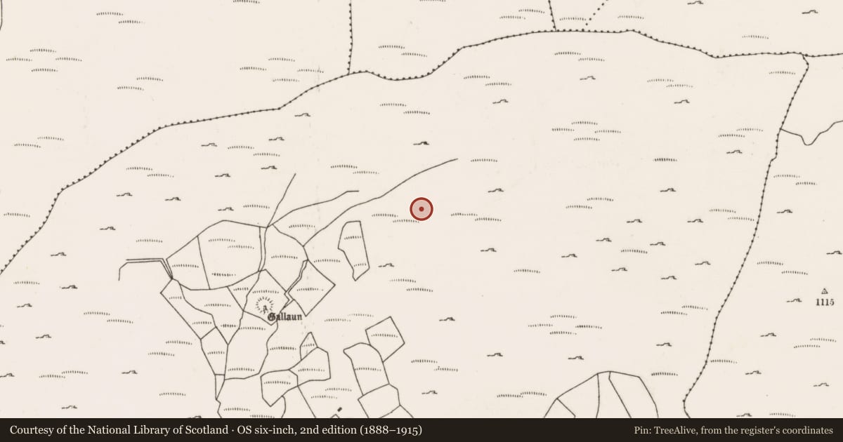 Ordnance Survey six-inch map, 2nd edition (1888–1915) covering the location of Field boundary, Dooneens (Muskerry West By., Inchigeelagh Par.), County Cork, with a pin at the register's coordinates