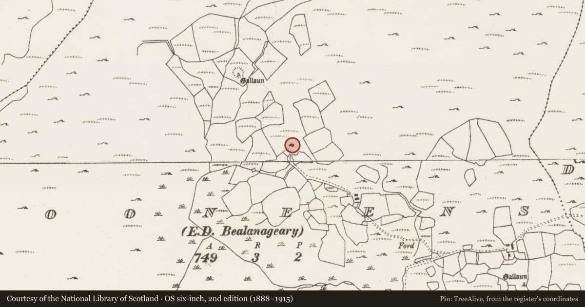 Ordnance Survey six-inch map, 2nd edition (1888–1915) covering the location of House - indeterminate date, Dooneens (Muskerry West By., Inchigeelagh Par.), County Cork, with a pin at the register's coordinates