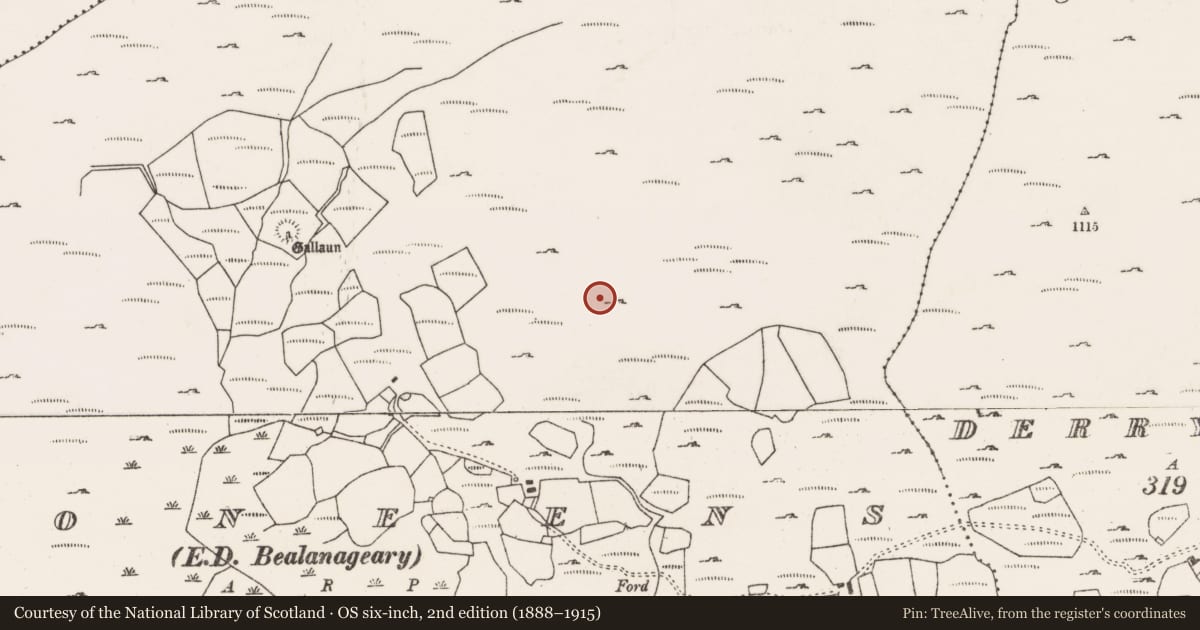Ordnance Survey six-inch map, 2nd edition (1888–1915) covering the location of Field boundary, Dooneens (Muskerry West By., Inchigeelagh Par.), County Cork, with a pin at the register's coordinates