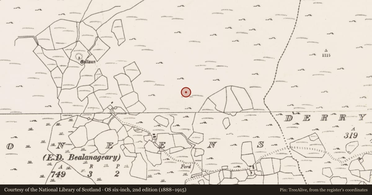 Ordnance Survey six-inch map, 2nd edition (1888–1915) covering the location of Hut site, Dooneens (Muskerry West By., Inchigeelagh Par.), County Cork, with a pin at the register's coordinates