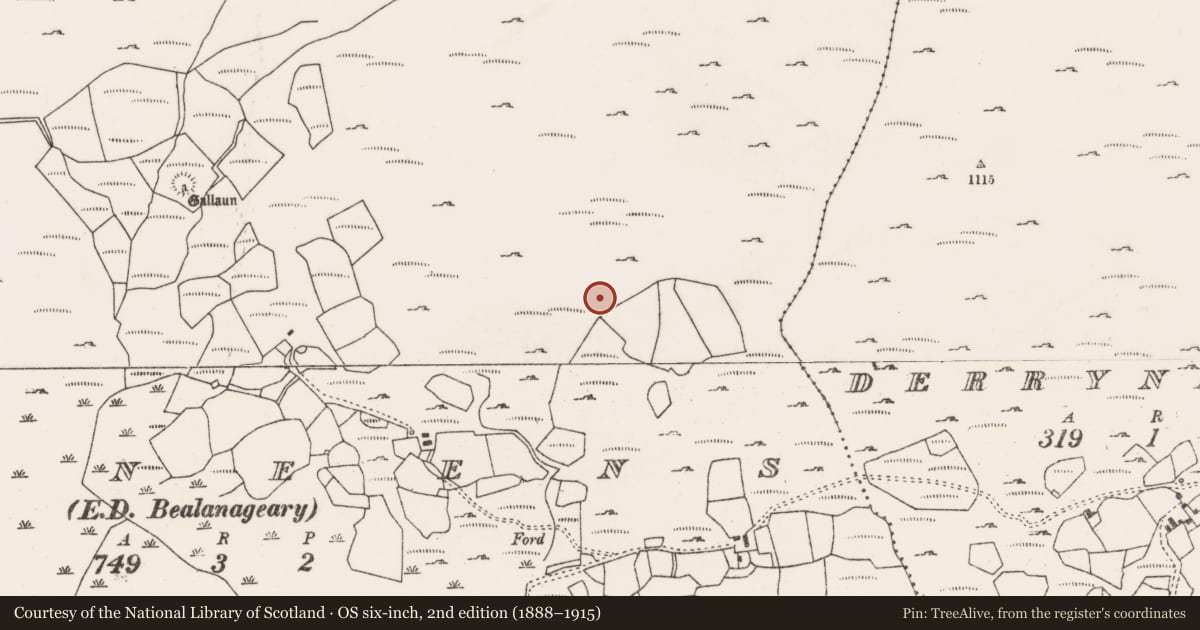 Ordnance Survey six-inch map, 2nd edition (1888–1915) covering the location of Field boundary, Dooneens (Muskerry West By., Inchigeelagh Par.), County Cork, with a pin at the register's coordinates