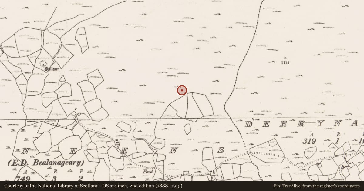 Ordnance Survey six-inch map, 2nd edition (1888–1915) covering the location of Field boundary, Dooneens (Muskerry West By., Inchigeelagh Par.), County Cork, with a pin at the register's coordinates