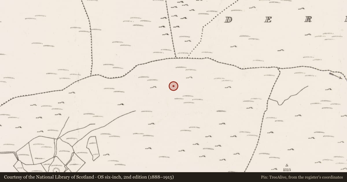 Ordnance Survey six-inch map, 2nd edition (1888–1915) covering the location of Field boundary, Dooneens (Muskerry West By., Inchigeelagh Par.), County Cork, with a pin at the register's coordinates