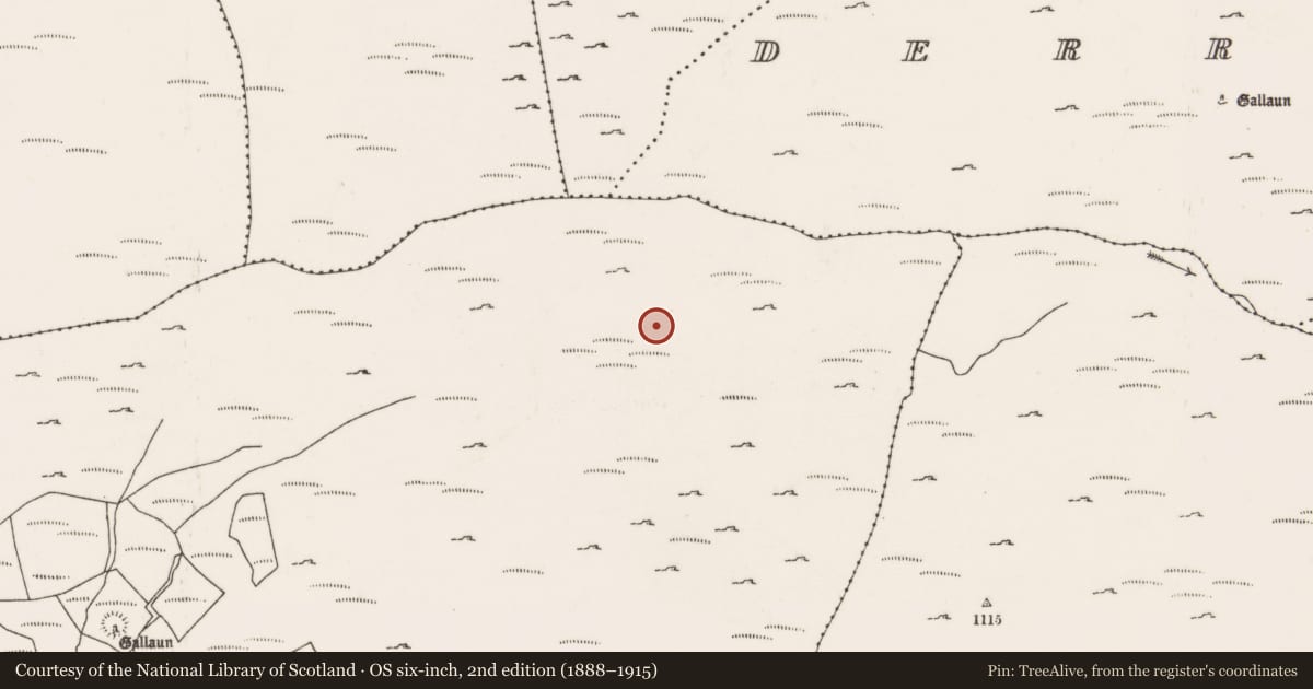Ordnance Survey six-inch map, 2nd edition (1888–1915) covering the location of Field boundary, Dooneens (Muskerry West By., Inchigeelagh Par.), County Cork, with a pin at the register's coordinates