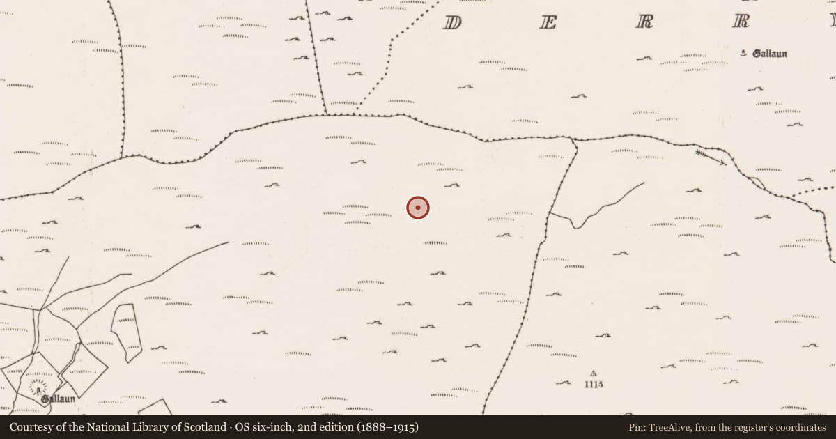 Ordnance Survey six-inch map, 2nd edition (1888–1915) covering the location of Field boundary, Dooneens (Muskerry West By., Inchigeelagh Par.), County Cork, with a pin at the register's coordinates