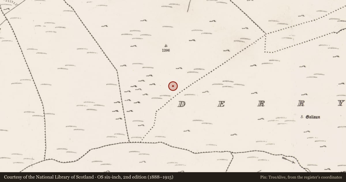 Ordnance Survey six-inch map, 2nd edition (1888–1915) covering the location of Field boundary, Doire Mhic Coirnín, County Cork, with a pin at the register's coordinates