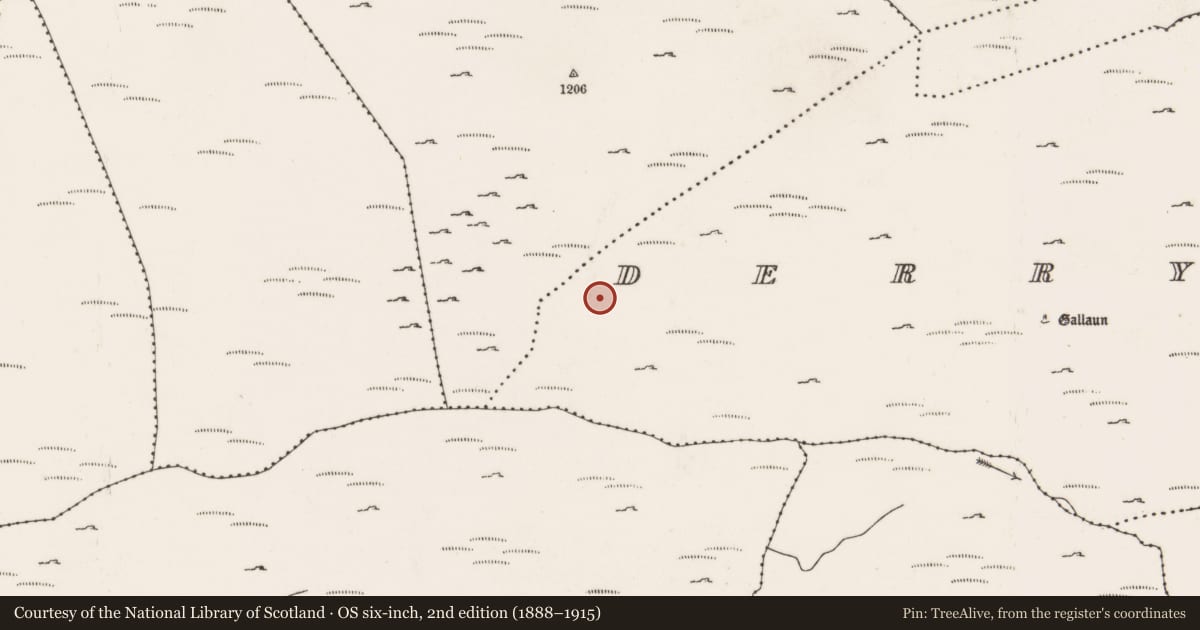 Ordnance Survey six-inch map, 2nd edition (1888–1915) covering the location of Field boundary, Doire Mhic Coirnín, County Cork, with a pin at the register's coordinates
