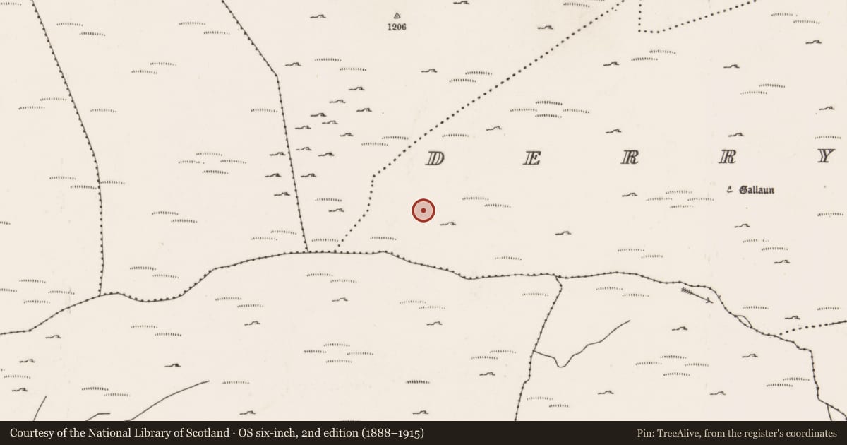 Ordnance Survey six-inch map, 2nd edition (1888–1915) covering the location of Field boundary, Doire Mhic Coirnín, County Cork, with a pin at the register's coordinates