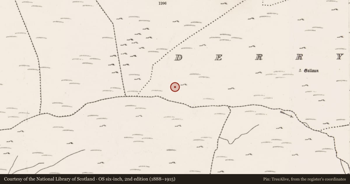 Ordnance Survey six-inch map, 2nd edition (1888–1915) covering the location of Field boundary, Doire Mhic Coirnín, County Cork, with a pin at the register's coordinates