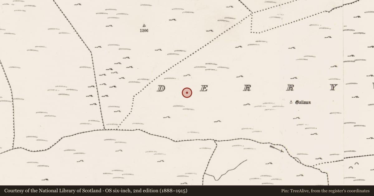 Ordnance Survey six-inch map, 2nd edition (1888–1915) covering the location of Hut site, Doire Mhic Coirnín, County Cork, with a pin at the register's coordinates