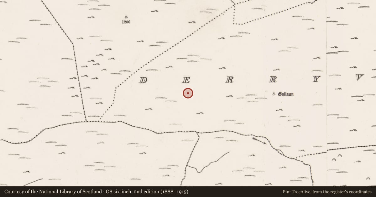 Ordnance Survey six-inch map, 2nd edition (1888–1915) covering the location of Field boundary, Doire Mhic Coirnín, County Cork, with a pin at the register's coordinates