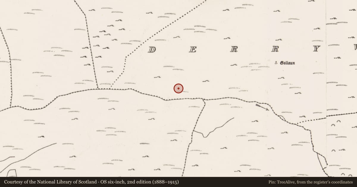 Ordnance Survey six-inch map, 2nd edition (1888–1915) covering the location of Field boundary, Doire Mhic Coirnín, County Cork, with a pin at the register's coordinates