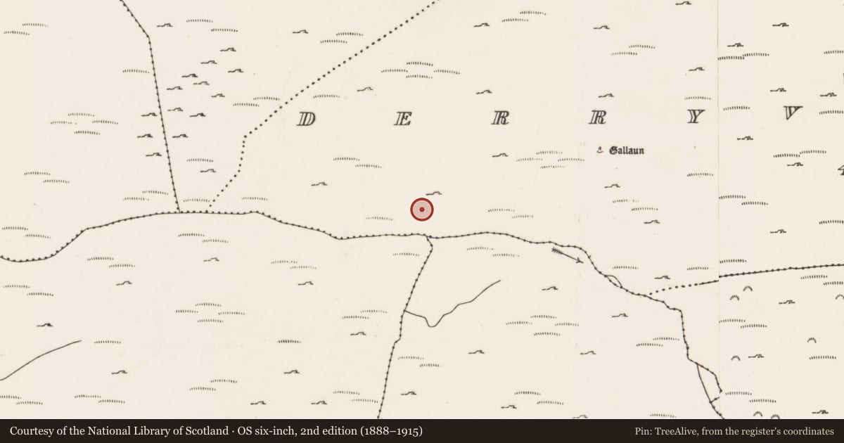 Ordnance Survey six-inch map, 2nd edition (1888–1915) covering the location of Field boundary, Doire Mhic Coirnín, County Cork, with a pin at the register's coordinates