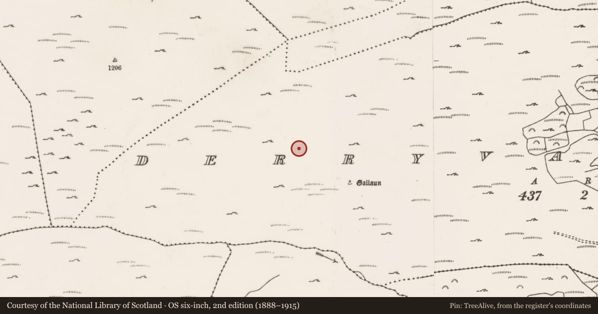 Ordnance Survey six-inch map, 2nd edition (1888–1915) covering the location of Hut site, Doire Mhic Coirnín, County Cork, with a pin at the register's coordinates
