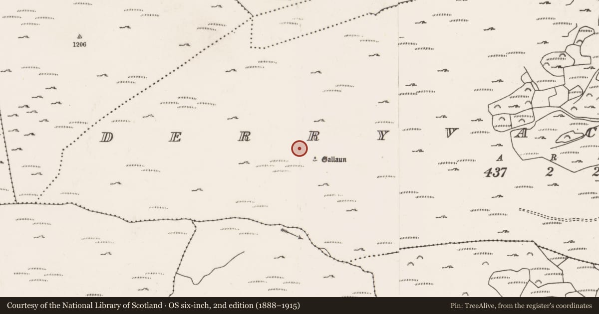 Ordnance Survey six-inch map, 2nd edition (1888–1915) covering the location of Hut site, Doire Mhic Coirnín, County Cork, with a pin at the register's coordinates