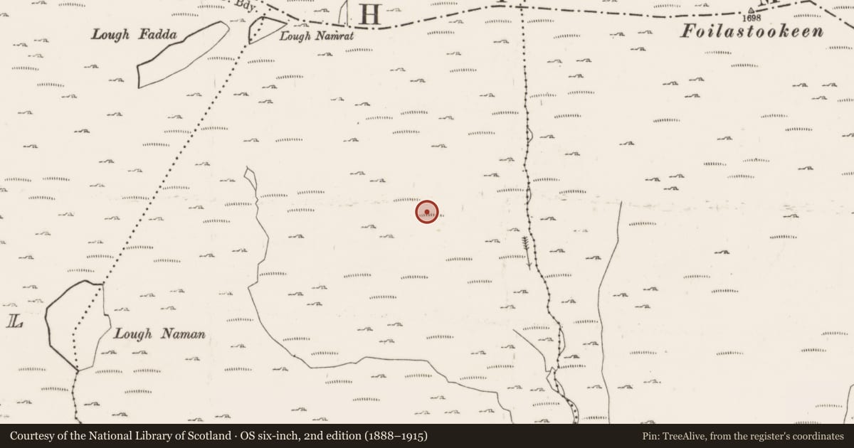 Ordnance Survey six-inch map, 2nd edition (1888–1915) covering the location of Field boundary, Lackavane, County Cork, with a pin at the register's coordinates