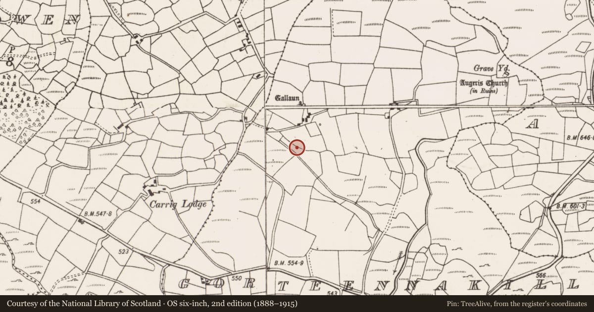 Ordnance Survey six-inch map, 2nd edition (1888–1915) covering the location of Standing stone, Goirtín Na Coille, County Cork, with a pin at the register's coordinates