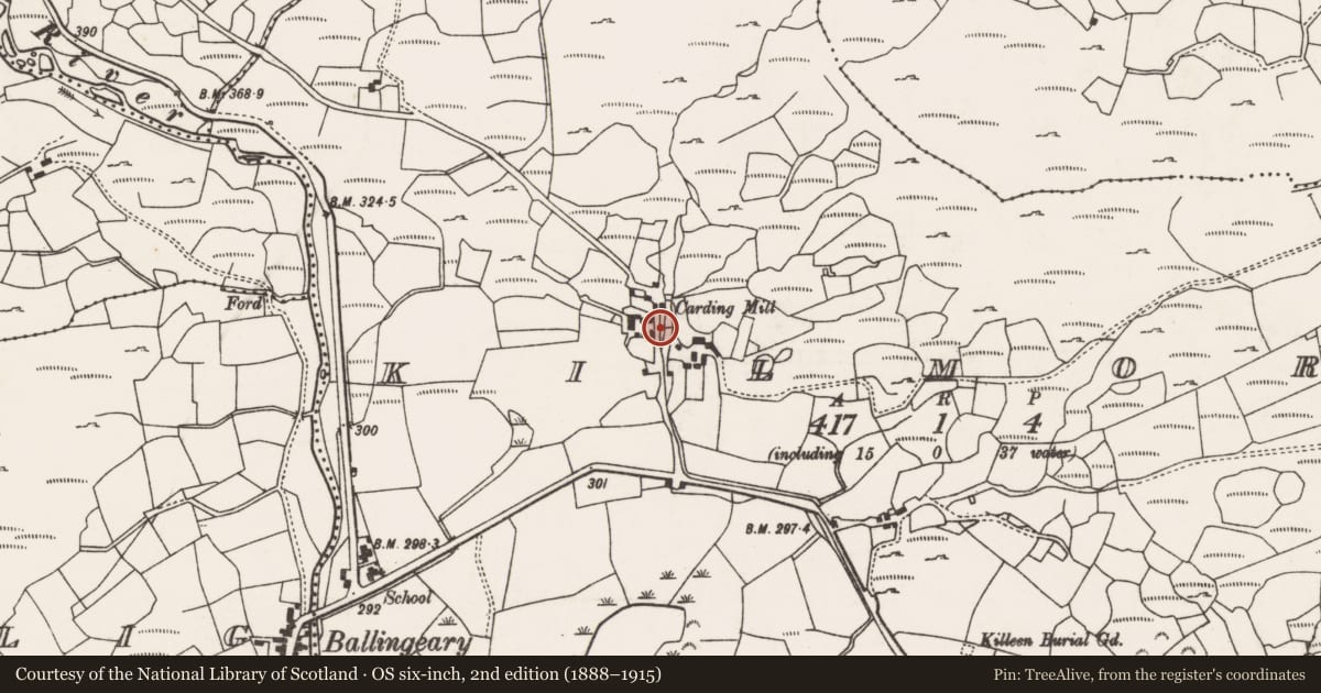 Ordnance Survey six-inch map, 2nd edition (1888–1915) covering the location of Mill - fulling, Kilmore, County Cork, with a pin at the register's coordinates