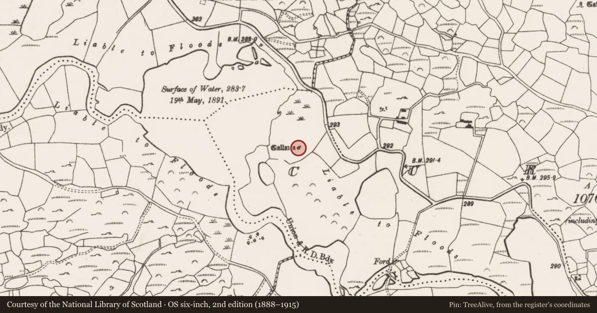 Ordnance Survey six-inch map, 2nd edition (1888–1915) covering the location of Standing stone, Na Curraithe, County Cork, with a pin at the register's coordinates