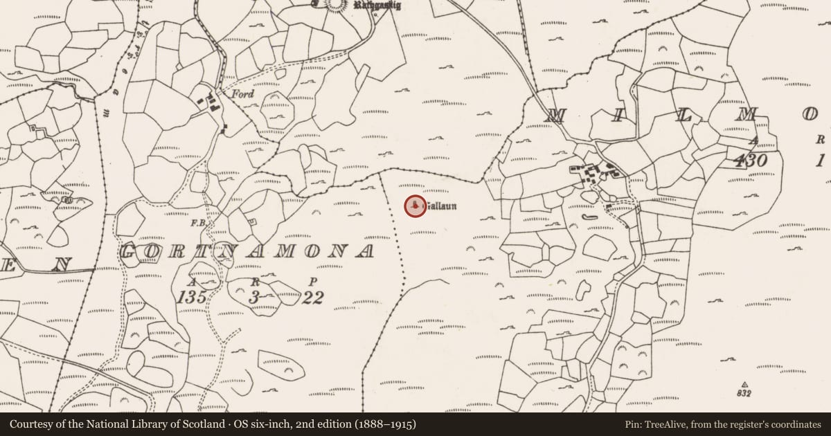 Ordnance Survey six-inch map, 2nd edition (1888–1915) covering the location of Standing stone, Mill Mearáin, County Cork, with a pin at the register's coordinates