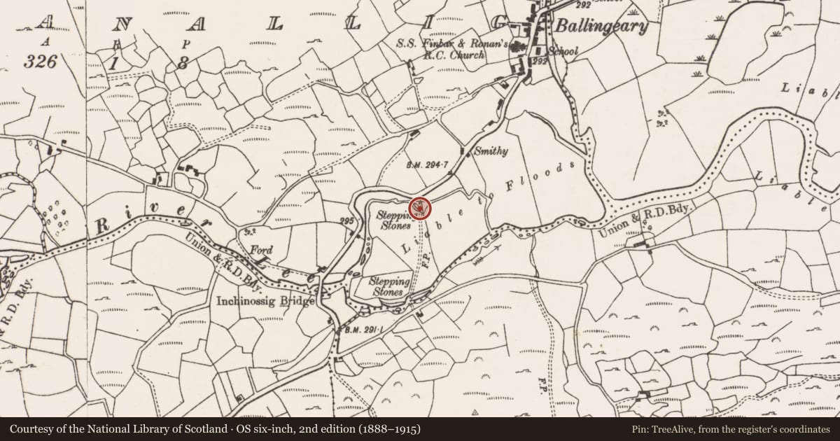 Ordnance Survey six-inch map, 2nd edition (1888–1915) covering the location of Clapper bridge, Drom An Ailigh, County Cork, with a pin at the register's coordinates