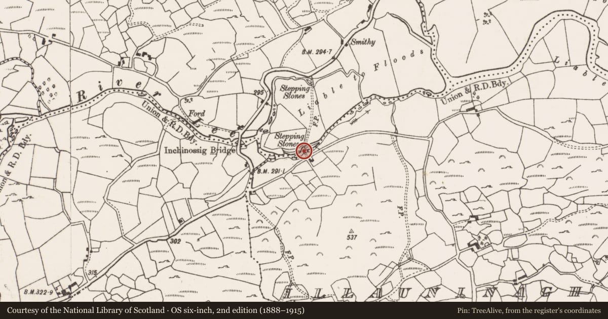 Ordnance Survey six-inch map, 2nd edition (1888–1915) covering the location of Clapper bridge, Drom An Ailigh, County Cork, with a pin at the register's coordinates