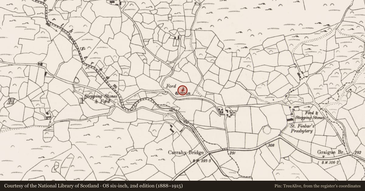 Ordnance Survey six-inch map, 2nd edition (1888–1915) covering the location of Stone row, Turnaspidogy, County Cork, with a pin at the register's coordinates