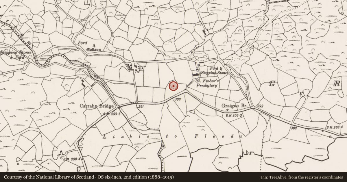 Ordnance Survey six-inch map, 2nd edition (1888–1915) covering the location of Ringfort - cashel, Turnaspidogy, County Cork, with a pin at the register's coordinates