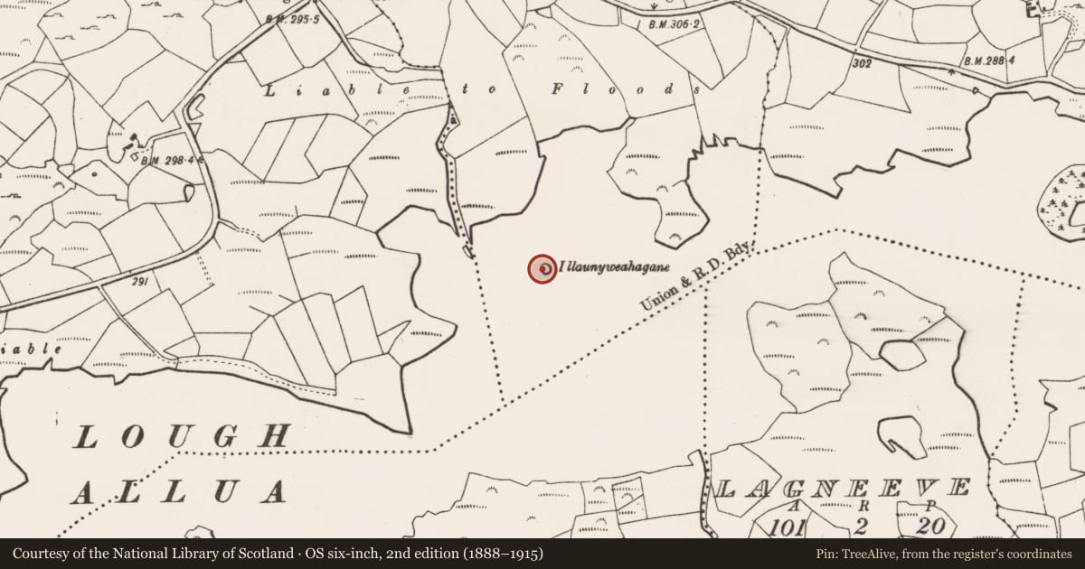Ordnance Survey six-inch map, 2nd edition (1888–1915) covering the location of Crannog, Turnaspidogy, County Cork, with a pin at the register's coordinates
