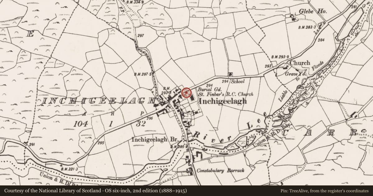 Ordnance Survey six-inch map, 2nd edition (1888–1915) covering the location of Rock scribing - folk art, Carrigleigh (Muskerry West By., Inchigeelagh Par.), County Cork, with a pin at the register's coordinates